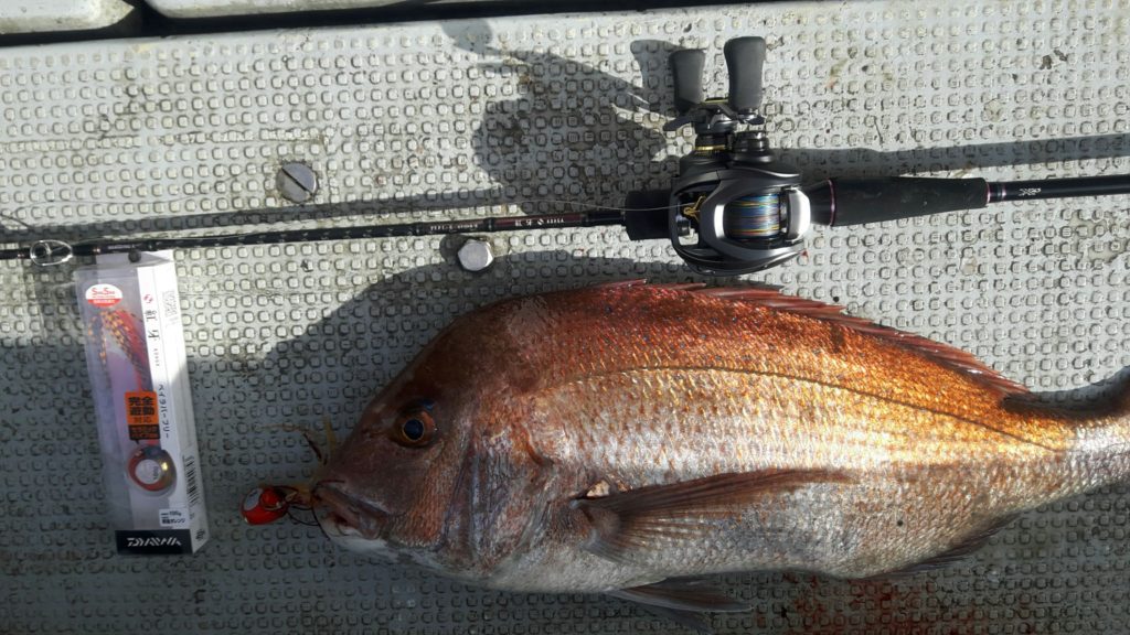 日本海七目釣り 釣りと京都と魚好き